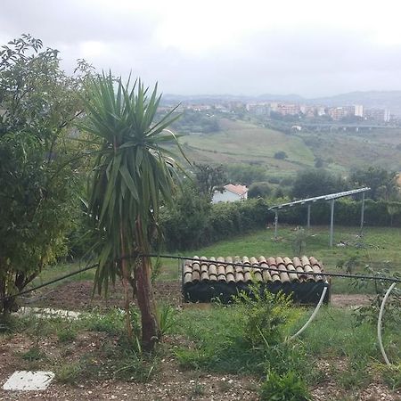 לינה וארוחת בוקר אנקונה Le Querce מראה חיצוני תמונה