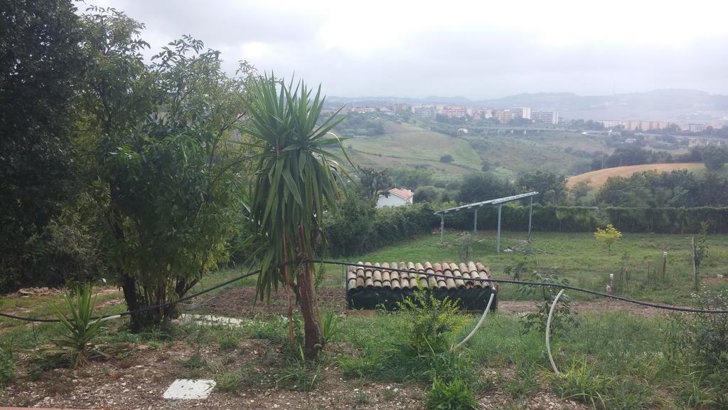 לינה וארוחת בוקר אנקונה Le Querce מראה חיצוני תמונה